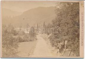 cca 1880 Klösz György: Ulmanka falva, a Hermaneczi völgy felé (Szlovákia, Besztercebánya régió), feliratozott vizitkártya méretű tájkép, keményhátú, 9,5x6,5 cm