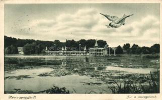 15 db főként RÉGI magyar városképes lap / 15 mostly old Hungarian town-view postcards
