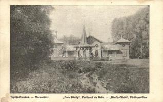 10 db RÉGI erdélyi városképes lap; / 10 old Transylvanian town-view postcards;