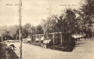 10 db RÉGI erdélyi városképes lap; sok Lippa / 10 old Transylvanian town-view postcards; many Lippa