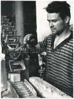 cca 1959 Budapest, Növényolaj és Szappangyár, Keveházi János (?-?) képriportja, 5 db vintage fotó, a...