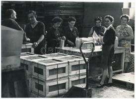 cca 1959 Budapest, Növényolaj és Szappangyár, Keveházi János (?-?) képriportja, 5 db vintage fotó, a...