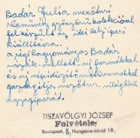 cca 1950 Badár Júlia mezőtúri népművész felkészült a fazekas család termékeivel a helyi ipari kiállí...