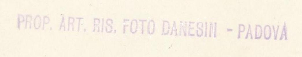 cca 1920 Danesin (Padova) felvétele egy csillagvizsgáló épületéről, 17x23 cm