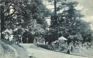 Szliács, Rózsaliget / park (EK)