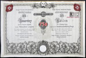 Budapest 1935. "Salgó-Tarjáni Kőszénbánya Részvény-Társulat" részvénye egyenként 30P-ről, összesen 750P-ről, szárazpecséttel, bélyegzéssel, szelvények NÉLKÜL! T:II-