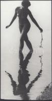 cca 1970 Vízparti kompozíció, finoman erotikus fotóművészeti alkotás, 23x12 cm / cca 1970 Erotic photo, 23x12 cm