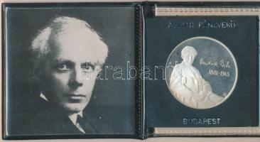 Fülöp Zoltán (1951-) 1981. "Bartók Béla / A kékszakállú herceg vára" Ag emlékérem ÁPV plasztiktokban, tanúsítvánnyal (20g/0.925/37mm) T:PP