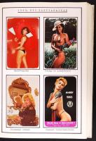 1982-1984 324 darabos magyar kártyanaptár gyűjtemény szépen rendezett gyűjteményben, feliratozva