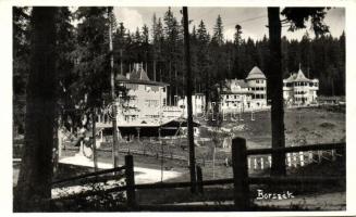 Borszék, Villa csoport / villas