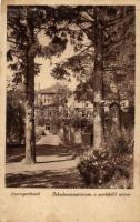 Szentgotthárd, Iskolaszanatórium, park (fl)
