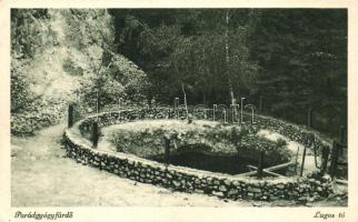 Parádgyógyfürdő, Lugos tó (EK)