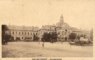 Nagybecskerek, vármegyeháza / county hall (EK)