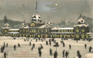 Budapest XIV. Városliget, Jégpálya csarnok, korcsolyázók este