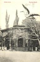 Buziásfürdő, Mihály forrás, gólya / spring with stork (EK)