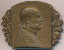 Osztrák-Magyar Monarchia 1915. "Frigyes Főherceg Tábornagy" tombak sapkajelvény. Szign.: Marschall (32x43mm) T:2 Austro-Hungarian Monarchy 1915. "Archduke Friedrich Supreme Commander" tombac cap badge. Sign.: Marschall (32x43mm) C:XF