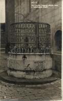 Pécs, Gróf Berényi Zsigmond püspöki kútja a Székesegyház mögött (fl)
