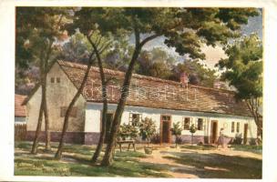 Agárd, Gárdonyi Géza szülőháza s: Tibai-Takács (EK)