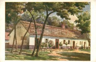 Agárd, Gárdonyi Géza szülőháza s: Tibai-Takács (EK)