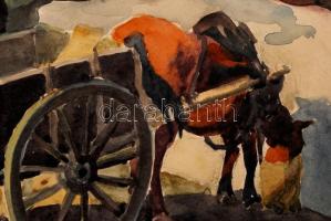 Kiss Lajos (1864-1954): Kíváncsi lovacska. Akvarell, papír, jelzett, 20×26 cm