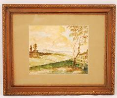 E. Illés jelzéssel: Késő délután a dombok között, akvarell, papír, paszpartuban, üvegezett fa keretben, 24×20 cm