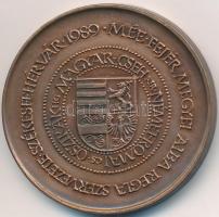 Fritz Mihály (1947-) 1989. "MÉE Székesfehérvár / Albert király" Br emlékérem (42,5mm) T:1-