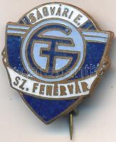 DN "Ságvári Endre Általános Gépipari Technikum Székesfehérvár" zománcozott fém jelvény T:2