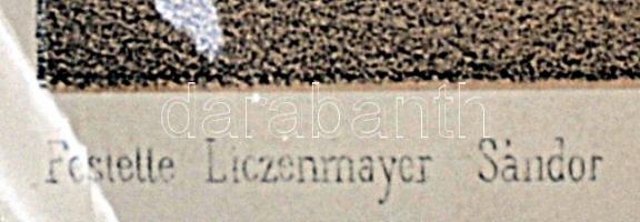 Liczenmayer Sándor(1839-1898): I. Mária királynő és anyja Erzsébet Nagy Lajos király sírjánál Kis Ká...