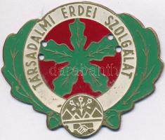 ~1970-1980. "Társadalmi Erdei Szolgálat" festett fém jelvény (48x58mm) T:2