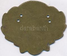 ~1970-1980. "Társadalmi Erdei Szolgálat" festett fém jelvény (48x58mm) T:2