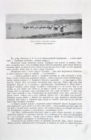 Malonyay Dezső - A magyar nép művészete. Harmadik kötet. A balatonvidéki magyar pásztornép művészete...