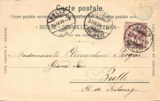 1895 (!) Luzern, Schwanenplatz litho (gluemark)