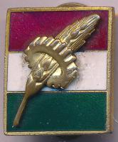 ~1960. Nemzetiszín alapon kalász, kerék zománcozott Br gomblyukjelvény T:2