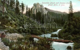 Black Hills, Spearfish Brook and Stevens Point