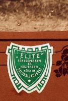 1912 Sátoraljaújhelyi közkórház kiképzett vöröskeresztes nénéi, feliratozva, a csoportképen szereplő...