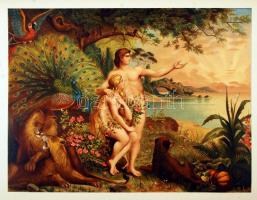 Klasszikus Arany Biblia. Az üdvnek ó- és új-szövetségi történelme rendszeres előadásban. I-II. kötet...