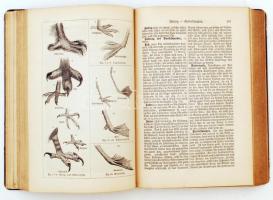 Riesenthal, O. von: Jagd lexikon. Handbuch für Jager und Jagdfreunde. Mit 123 Abbildungen. Leipzig, ...
