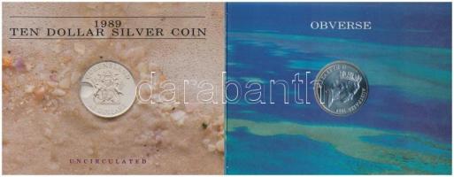 Ausztrália 1989. 10$ Ag "Queensland" dísztokban T:1
Australia 1989. 10 Dollars Ag "Qu...