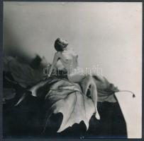 Akt falevélen, 12x12 cm / nude photo, 12x12 cm