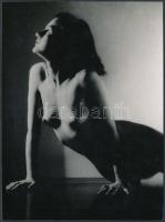 Támaszkodó akt, jelzés nélküli fotó, 13x17 cm / nude photo, 13x17 cm