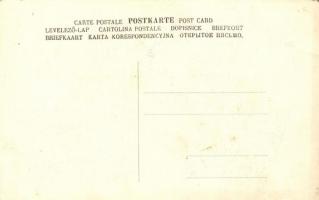 Korona bankjegyek / Hungarian Korona banknotes, mushroom