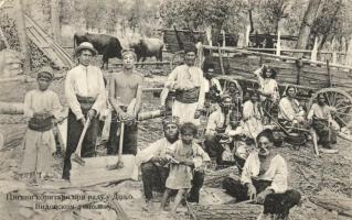 Donja Vidovska, gypsy workers, folklore (EB)