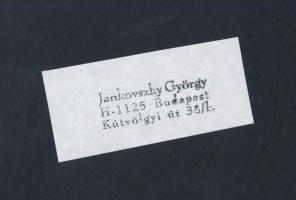 1984 Jankovszky György(1946-): Atlanti fal, Normandia, feliratozva, kartonra kasírozva, pecséttel je...