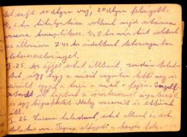 1944-1945 Munkaszolgálatos naplója ukrán, lengyel, szlovák, német és magyar területen töltött időről...