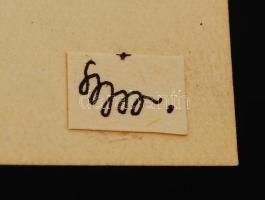 Szaniszló Júlia (1950-1989): Szépfiú. 1972. Tusrajz. 15x10cm