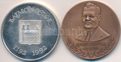 2db emlékérem: 1993. "Bozó Gyula 80 éves" Br emlékérem (42,5mm) + Fritz Mihály (1947-) 199...