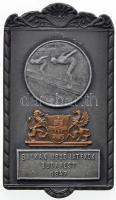 1947. "Balkán Úszójátékok Budapest" fém plakett, "LUDVIG. BP." gyártói jelzéssel (50x87,5mm) T:2 Hungary 1947. "Balkan Swimming Games Budapest" metal plaque with makers mark "LUDVIG. BP." (50x87,5mm) C:XF