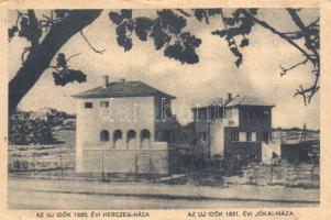 Budapest II. Új Idők 1931- évi Herczeg- és Jókai-háza, részvételi igazolvány (fa)