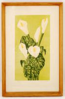 Jánosi Sándor(1927-): Kála. Színes szitanyomat, papír, jelzett, üvegezett keretben, 17x32 cm