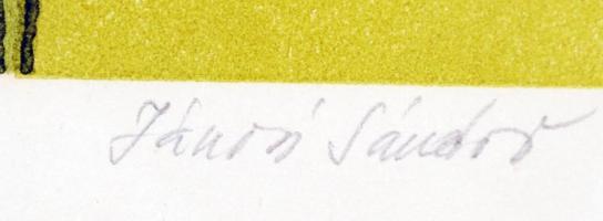 Jánosi Sándor(1927-): Kála. Színes szitanyomat, papír, jelzett, üvegezett keretben, 17x32 cm